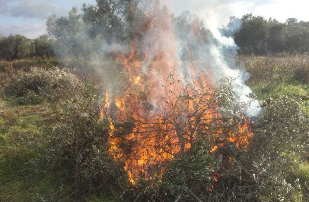 Medio Ambiente recuerda que se prohben las quemas agrcolas.