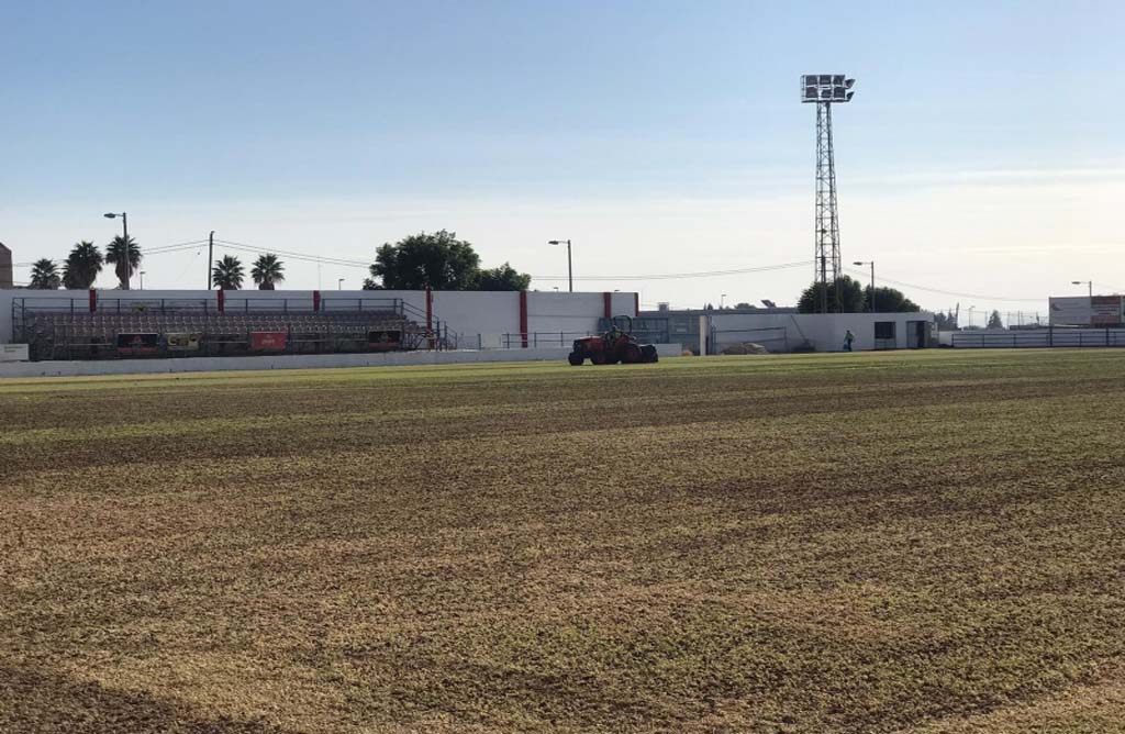 Acometen la resiembra de invierno del csped del estadio municipal Juan Cayuela para iniciar con garantas la nueva temporada