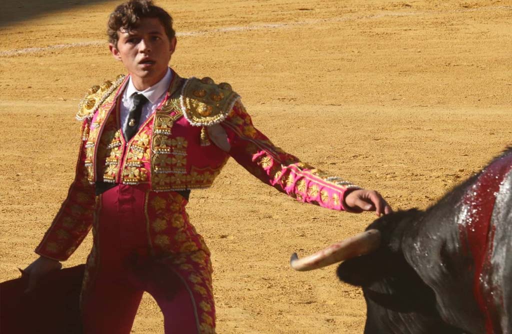 El Torero Totanero Jorge Martinez se hace con 4 orejas en Antequera en la final del circuito de novilladas de Andalucia
