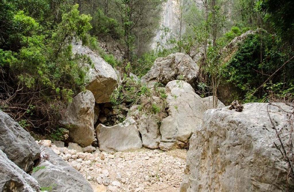 El Ayuntamiento apoya el proyecto de gestin silvcola no mecanizada para en entorno de la cabecera del Barranco de la Hoz en Sierra Espua