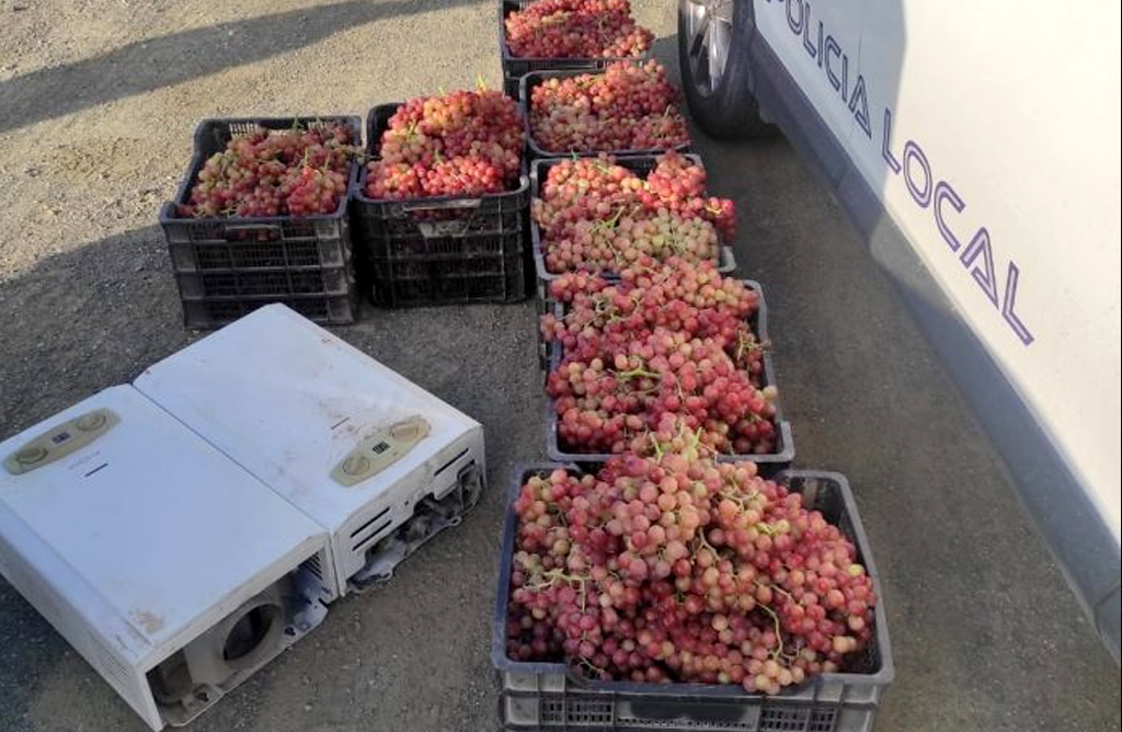 Intervienen en Lorca 150 kilos de uva robada presuntamente en Totana